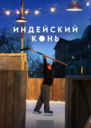 Индейский конь